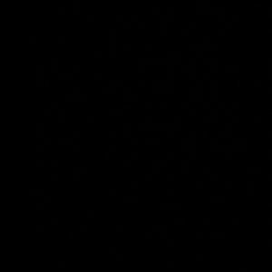 Meet your Posher, Lily